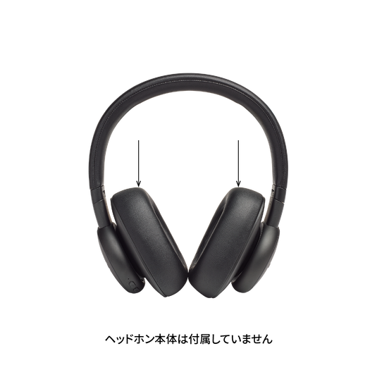Ear pads for FLY ANC - Black - Hero image number null
